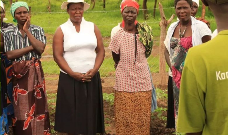Corporate clients can pick from a list of 12 climate action projects, including forestry conservation, and community energy or water programmes. Pictured: Zimbabwe Kariba project.