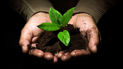 Insight Vacations grows its greens