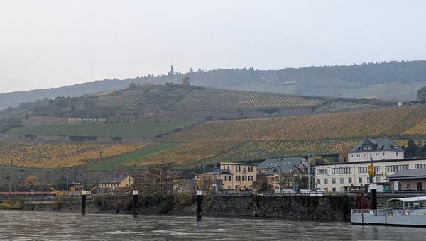 Every river cruise invites scenic views, tranquility and reaching smaller cities on a river cruise. Every river cruise invites scenic views, tranquility and reaching smaller cities on a river cruise.