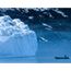 Polar bears or Viking history? Albatros launches first Arctic cruises