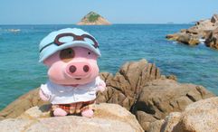 Exclusive entertainment and experiences centred on the cartoon pig will be available on Star Voyager sailings from 15 July to 30 August.