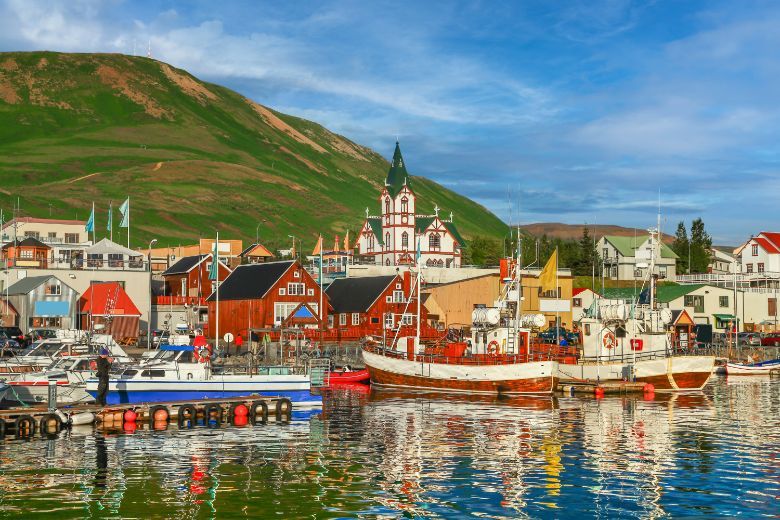 The itineraries will visit Iceland's whale-watching capital of Husavik (pictured) and Heimaey, which is home to a beluga whale sanctuary, during the region's peak whale migration season.