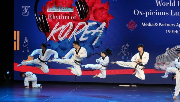 Instructors showing off their nifty martial moves during the Taekwondo Academy. Instructors showing off their nifty martial moves during the Taekwondo Academy.