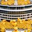 Thousands of ducks swarm cruise ships