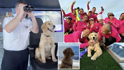 Rover has been named Icon of the Seas' Chief Dog Officer.