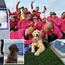 Woof! Meet Royal Caribbean’s new Chief Dog Officer