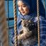 All cats on deck! The first cat cruise is setting sail in Singapore
