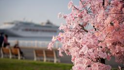 As awareness of cruising continues to grow, travel advisors are increasingly shifting from overcoming misconceptions to matching customers with the cruise holiday that best fits their lifestyle.