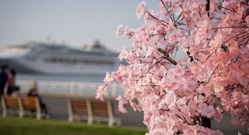 As awareness of cruising continues to grow, travel advisors are increasingly shifting from overcoming misconceptions to matching customers with the cruise holiday that best fits their lifestyle.