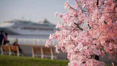 As awareness of cruising continues to grow, travel advisors are increasingly shifting from overcoming misconceptions to matching customers with the cruise holiday that best fits their lifestyle.