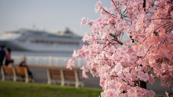As awareness of cruising continues to grow, travel advisors are increasingly shifting from overcoming misconceptions to matching customers with the cruise holiday that best fits their lifestyle.