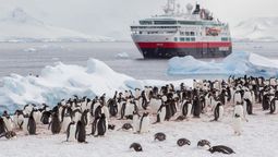 Hurtigruten Expeditions offers free Starlink internet services to both guests and crew (but not penguins).