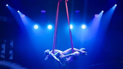 The Carousel Productions at Sea shows whisk audiences into fantastical realms through acrobatics, dance, music, and multimedia visuals, transporting them into immersive imaginative universes.