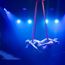 The multisensory tech-forward world of MSC Cruises