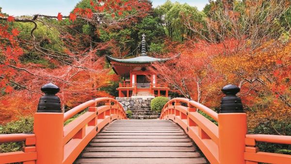 Cruise from the jewels of Japan to idyllic Southeast Asia shores, to Australia’s wilds on a 63-night voyage from Tokyo to Sydney.