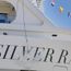 Seeing the world in new light with Silver Ray