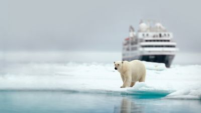 Silversea Cruises reveals 206 voyages spanning from March to November 2025, covering the Mediterranean to the Arctic and beyond.
