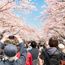 This travel superpower isn’t what it used to be