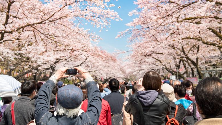Japan saw a record of over 3 million international arrivals in March 2024.