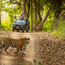 No more phones in the wild in India
