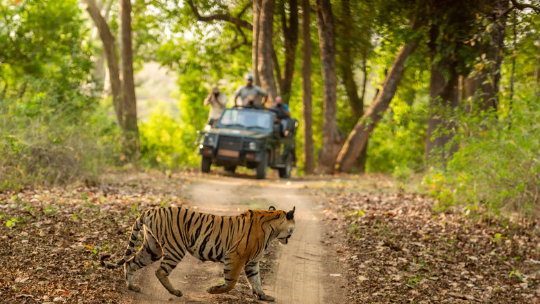 Visitors are not allowed to carry or use mobile phones inside India’s safari zones.