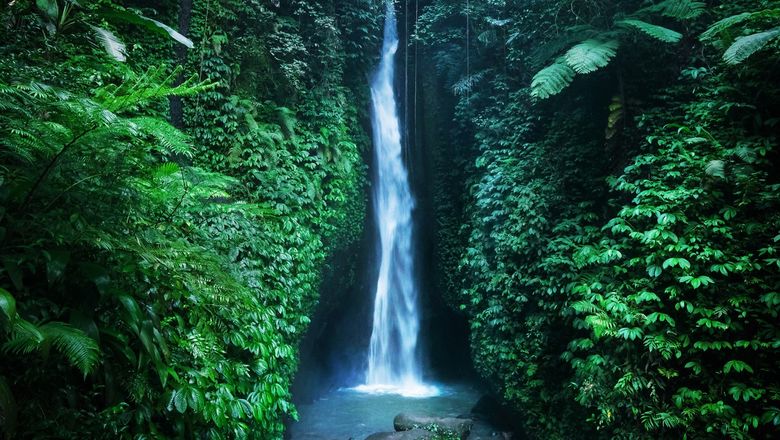 The tourist fell to his death when a guard rail gave way at Villa Gajah Mas waterfall.