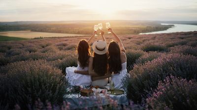 Cooler European destinations such as Iceland, Scandinavia, Ireland, and the UK are experiencing significant booking growth.