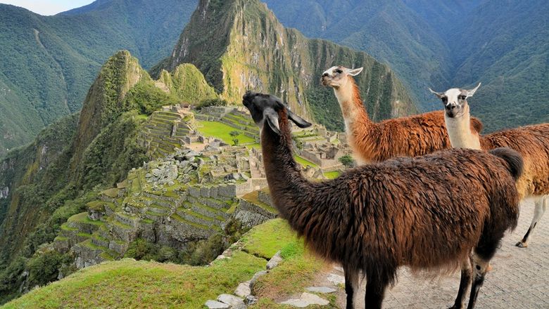 Before the pandemic, Peru welcomed 4.5 million visitors; this year, estimates halve to 2.2 million.