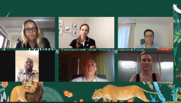 Oceans Without Borders's Tessa Hempson (top middle), WWF UK's Andrew McVey (top right) and Barry Mthembu of andBeyond Phinda Private Game Reserve (bottom left) were some of the speakers at a recent webinar organised by the luxury safari company.