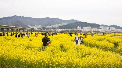 Busan welcomed 3 million foreign arrivals, and 238 cruise calls to date in 2025.