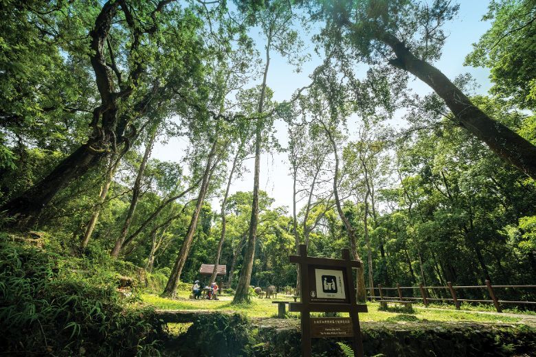 Hello Hong Kong! will offer locals and international tourists tips and offers for exploring off-the-beaten track locations, for example Tai Po Kau for forest bathing
