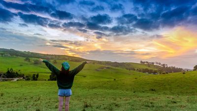 Australia is now encouraging backpackers and international students back into the country through financial incentives.