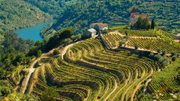 In Portugal's Douro Valley, wineries perched atop terraced hills frame either side of the Douro River as it flows from Spain in the east to the Atlantic Ocean in the west.