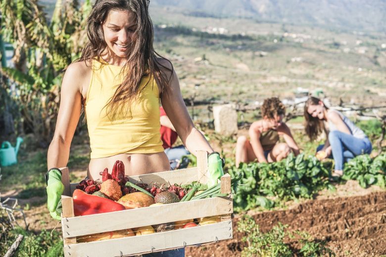 Multiple hotels have come on board with programmes and incentives to reward visitors who are willing to give back during their tropical vacations.