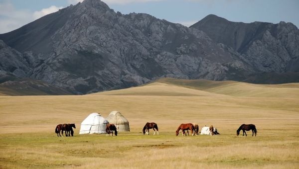 Horses grazing near yurt tents amid the towering mountains of Kyrgyzstan.