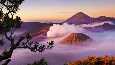 The All Indonesia app integrates immigration, customs, health and quarantine services.