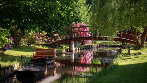 The boat tour glides gently through quiet canals, letting travellers drift past storybook cottages, arched bridges, and forested waterways while guides share local tales and history.
