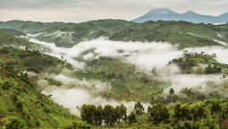 WTTC says the outbreak remains confined to specific areas and should not trigger unnecessary disruption to African travel.