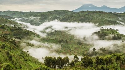WTTC says the outbreak remains confined to specific areas and should not trigger unnecessary disruption to African travel.