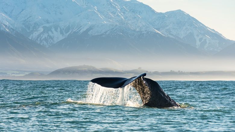 Asian travellers escaping the tropics during New Zealand’s June to August winter season are drawn to Queenstown's alpine landscapes, skiing and adventure activities, but also arts and culture activities.