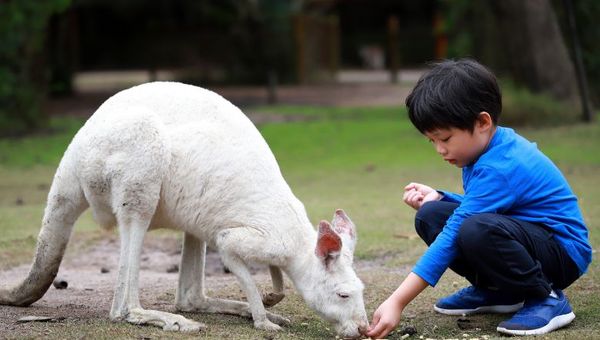 Australia is looking at catering for multigenerational family trips.
