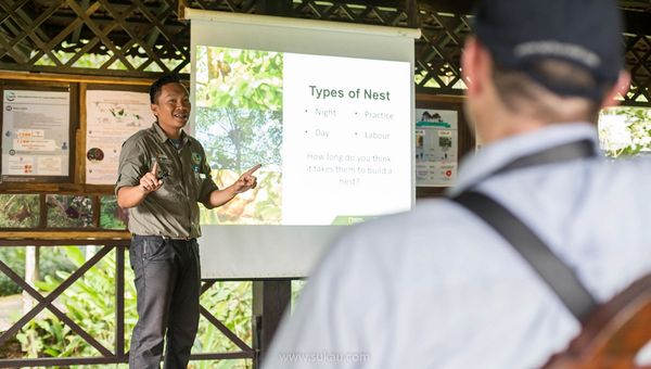 An education session at Sakau Rainforest Lodge where guests will learn about the way orangutan live in their natural habitat.