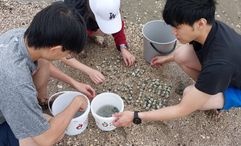 Some visitors even set up barbecues to cook caught marine life on the spot.
