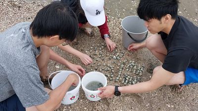 Some visitors even set up barbecues to cook caught marine life on the spot.