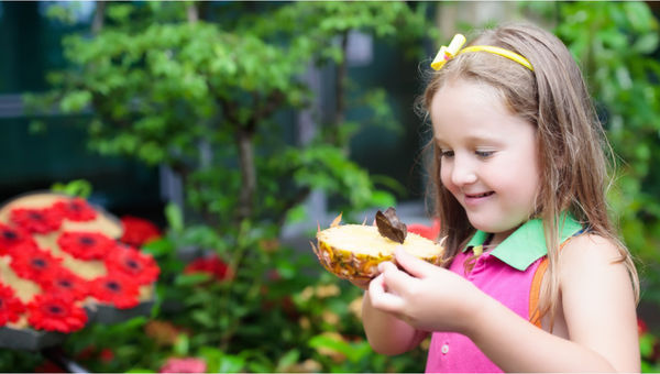 The Butterfly Garden at Changi Airport, opened in 2008, is the world’s first airport butterfly garden, featuring over 1,000 butterflies in a lush tropical habitat.