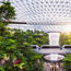 Unique things to do at Singapore Changi Airport