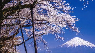 The move was announced to combat overcrowding as Japan seeks to protect its communities while welcoming the world.