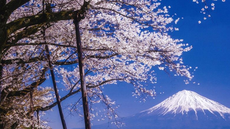 The move was announced to combat overcrowding as Japan seeks to protect its communities while welcoming the world.