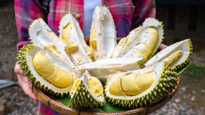 Realising the durian’s growing popularity, Tourism Malaysia has compiled an e-guidebook on various types of durian packages and tour operators across 12 Malaysian states.