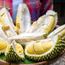 Durian tourism is a big thing in Malaysia